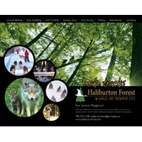 Haliburton Forest